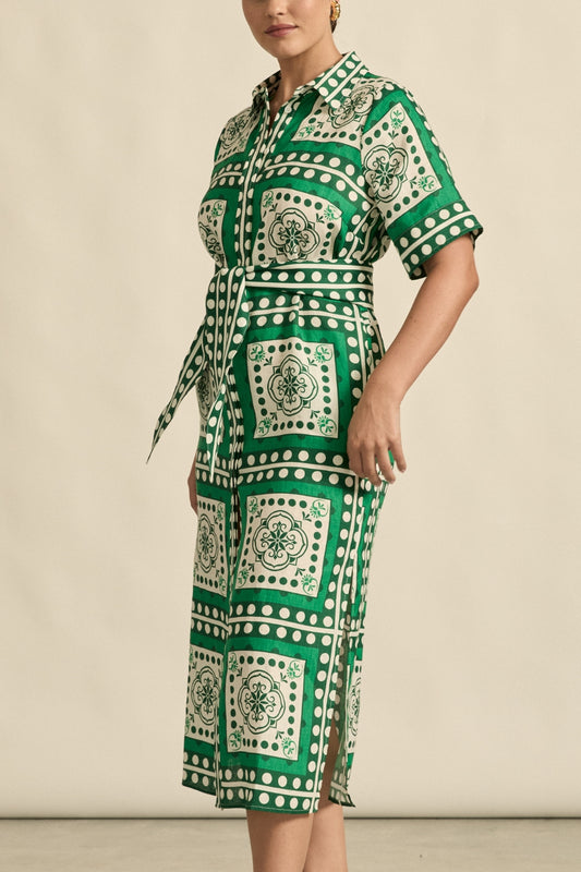 Roam Dress / Parrot Scarf