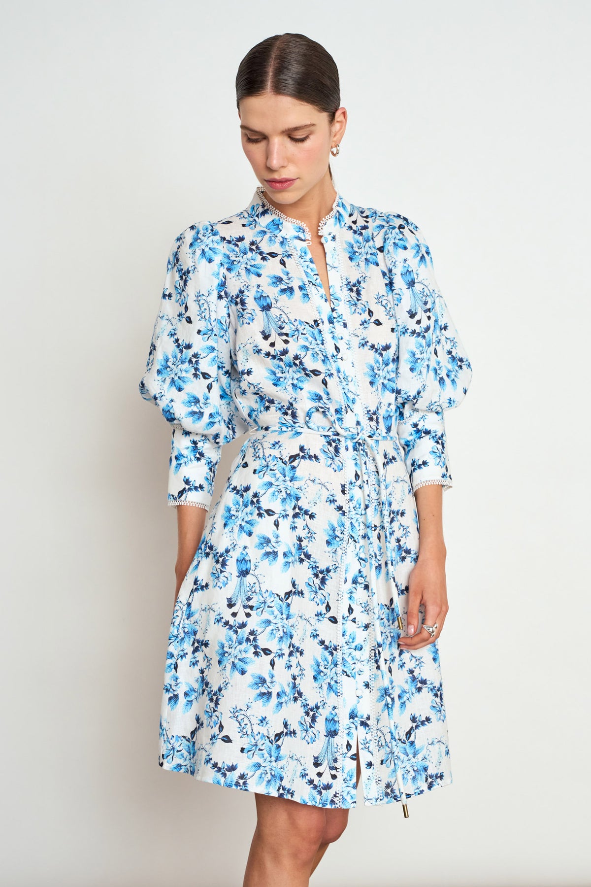 Scenic Dress / Song Bird