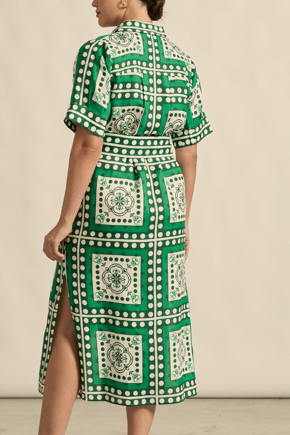 Roam Dress / Parrot Scarf