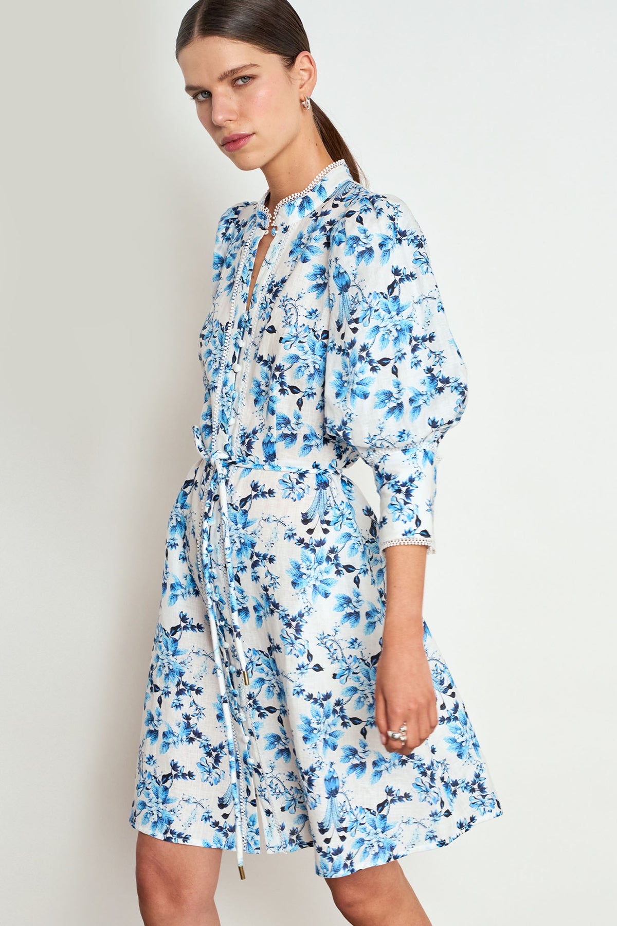 Scenic Dress / Song Bird