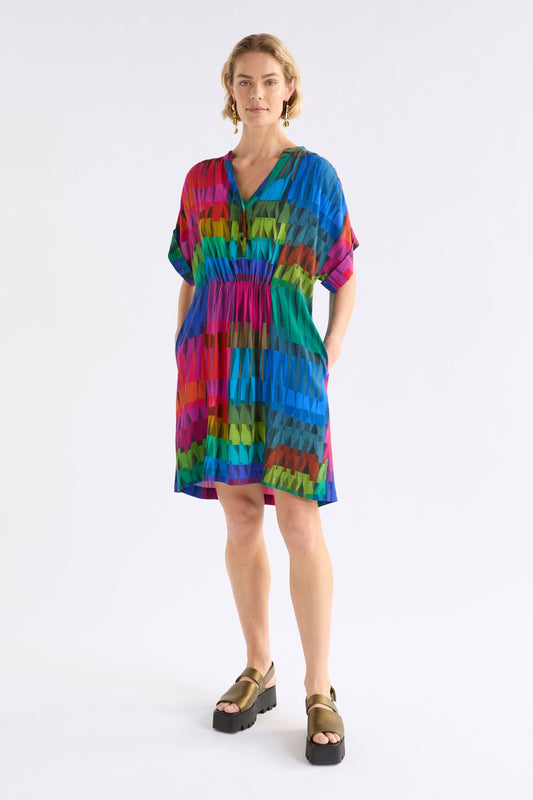 Seka Dress / Lind Dark Print
